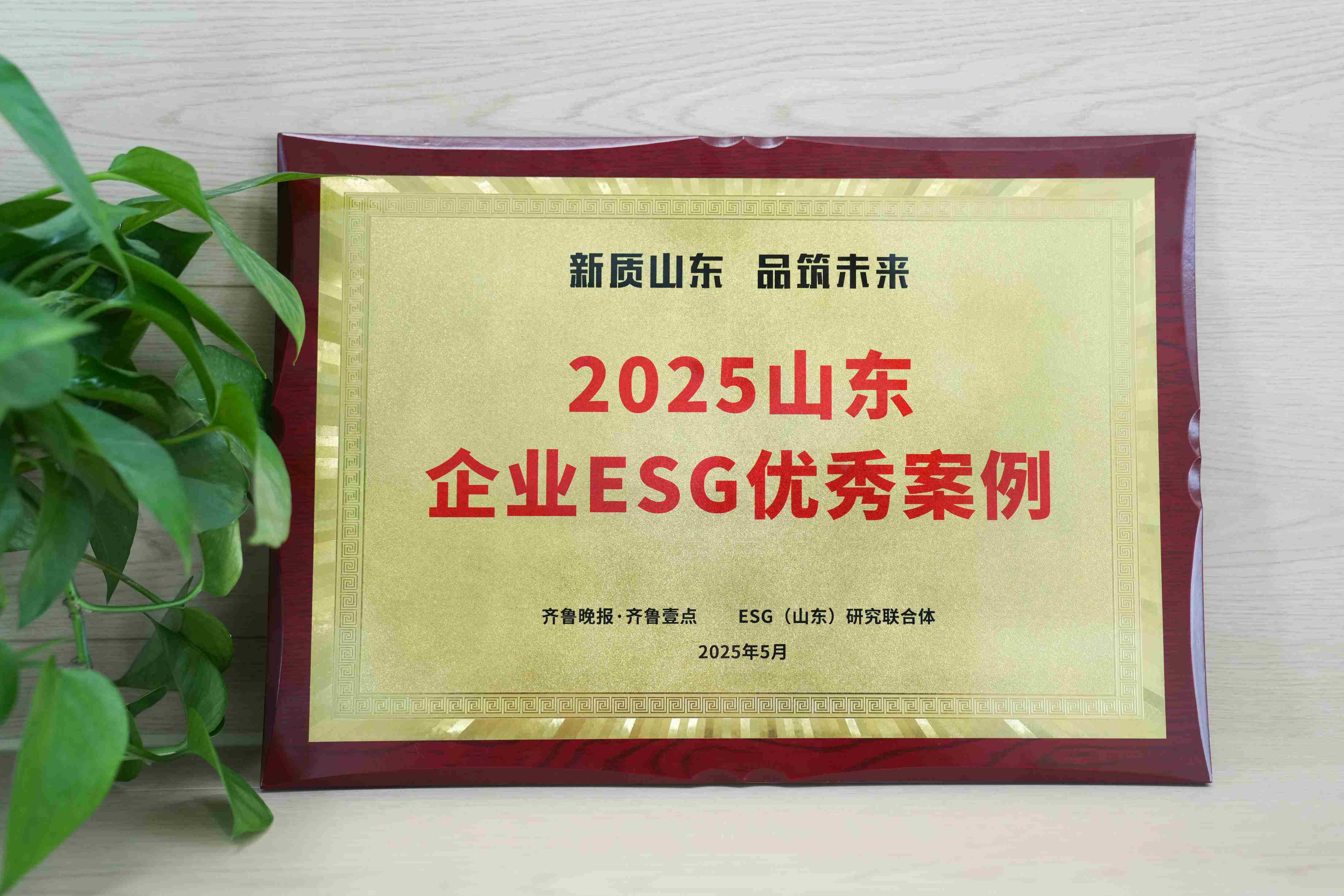 bwinӮҽѡ2025ɽҵESG참